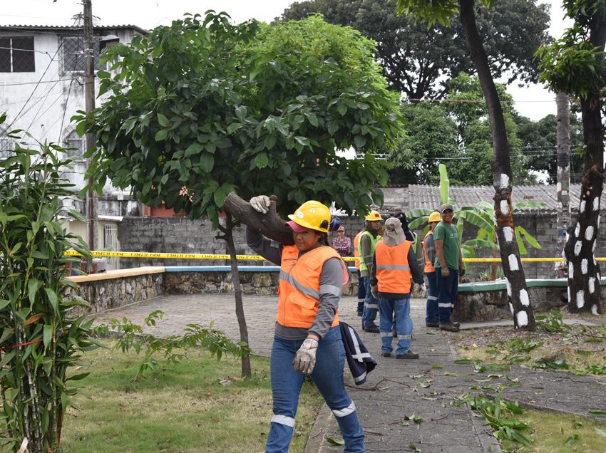 Mantenimiento a parques