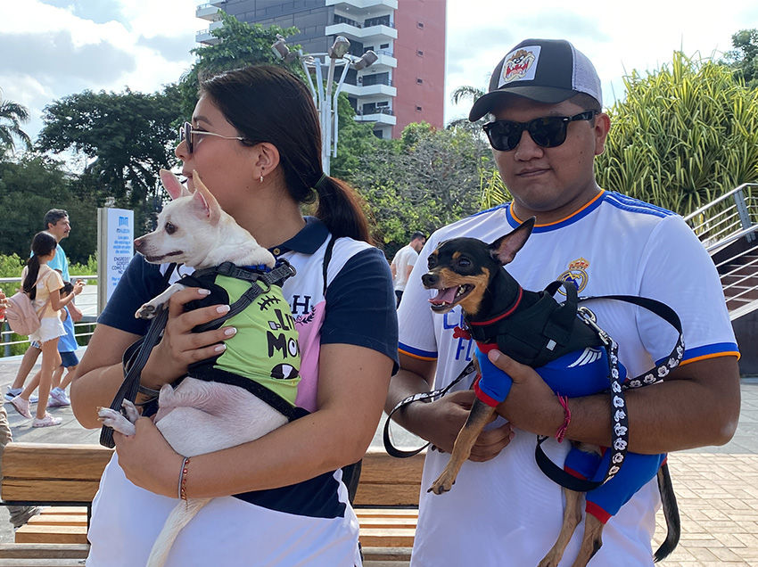 Festival de mascotas