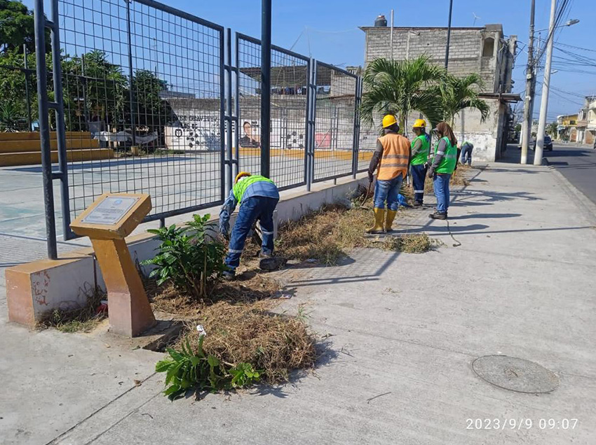 Ambiente interviene parques