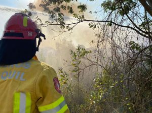 Bomberos de Guayaquil sofocaron incendio en las faldas del Cerro del Carmen