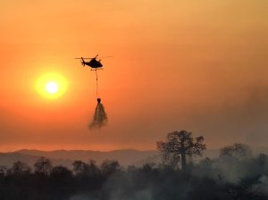 En casi 48 horas, Segura EP coordinó atenciones para controlar 10 incendios forestales en Guayaquil