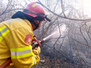 En casi 48 horas, Segura EP coordinó atenciones para controlar 10 incendios forestales en Guayaquil