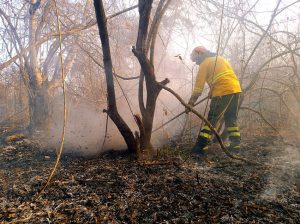 En casi 48 horas, Segura EP coordinó atenciones para controlar 10 incendios forestales en Guayaquil