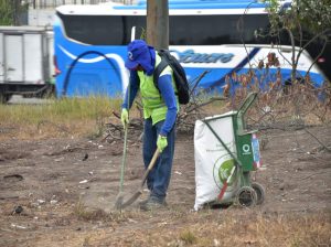 En cinco kilómetros, Urvaseo recogió 120 sacos de basura