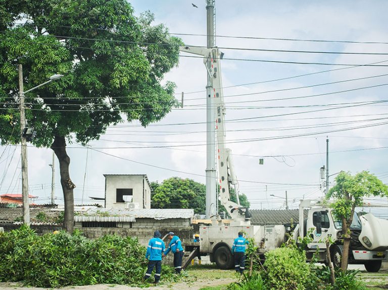 Moradores de La Alborada llaman al 181 y Parques EP responde con poda de árboles