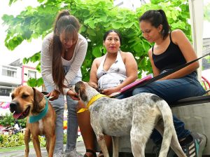 Campaña “Adoptamos Humanos” busca hogar para 139 animales rescatados