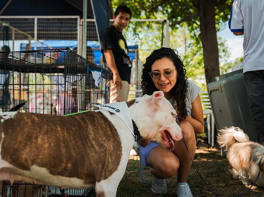 Adoptar es construir comunidad: Municipio promueve respeto y cuidado animal